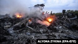 Еще горящие обломки "Боинга" 777 авиакомпании Malaysia Arilines, сбитого российской зенитной ракетой в небе над Донбассом. 17 июля 2014 года