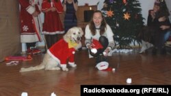 Несі – справжній ветеран собакотерапії. Працює як з військовими, які повернулися з АТО, так і з дітьми, яким потрібна психологічна підтримка.