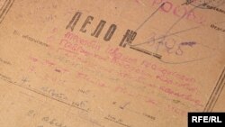 Дело Теодозии Гаврышкив