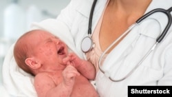 Иллюстративное фото