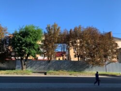 Самотній будинок заростає зеленню