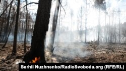 На Харківщині триває масштабна лісова пожежа, горять лісові насадження (фото ілюстративне)