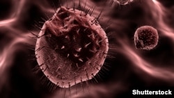 Ракові клітини