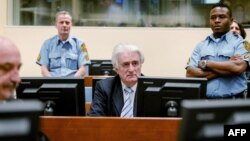 Международный трибунал по бывшей Югославии судит лидера боснийских сербов Радована Караджича в Гааге в марте 2016 года