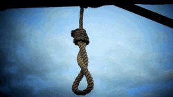 Акс аз бойгонист.