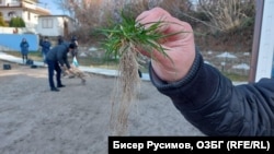 Пляж? Який пляж?