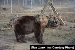 Маня зі Львова уникає людей