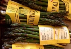 Спаржа, яку вирощує Світлан Федченко, торгової марки «Еко Віста», має оригінальну етикетку з рецептами приготування