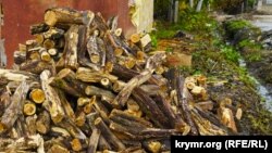 Найближчим часом жителів деокупованих сіл планують забезпечені дровами та вугіллям