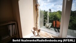 Підвіконня у кабінеті Нехлопочина