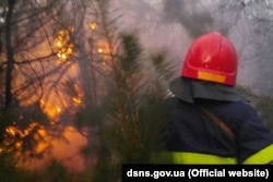 Минулорічні пожежі на Луганщині знищили майже 30 тисяч гектарів лісу