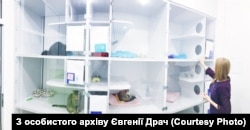 Коти чекають на своїх нових господарів