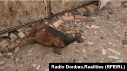 Загибла у вогні коза