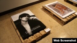 Izložba Miraz, foto: depo.ba