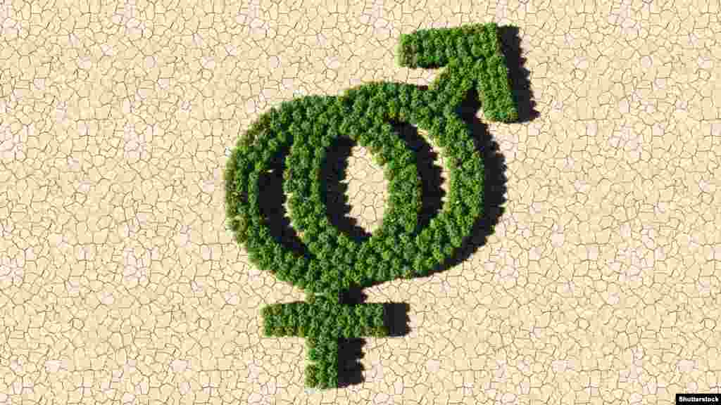 Изменения количества регистрируемых в России браков во многом отражают “демографические волны”. Сейчас, например, соответствующих возрастов достигают относительно малочисленные поколения россиян, родившихся в 1990-ые годы, напоминают эксперты Института демографии НИУ ВШЭ. Тогда как в странах Европейского союза, вместе взятых (ЕС-27), общее количество браков за период с начала века менялось куда менее значительно.