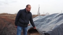 В Новосибирской области пропадает рекордный урожай пшеницы В Новосибирской области пропадает рекордный урожай пшеницы