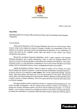 სალომე ზურაბიშვილის წერილი