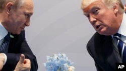 Владимир Путин и Дональд Трамп на саммите "Группы 20" в Гамбурге в 2017 году