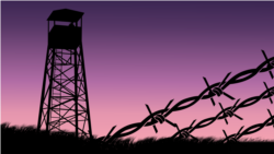 Подкаст "Острова смерти". Эпизод 1 - Гибель "Дальстроя" Подкаст "Острова смерти". Эпизод 1 - Гибель "Дальстроя"