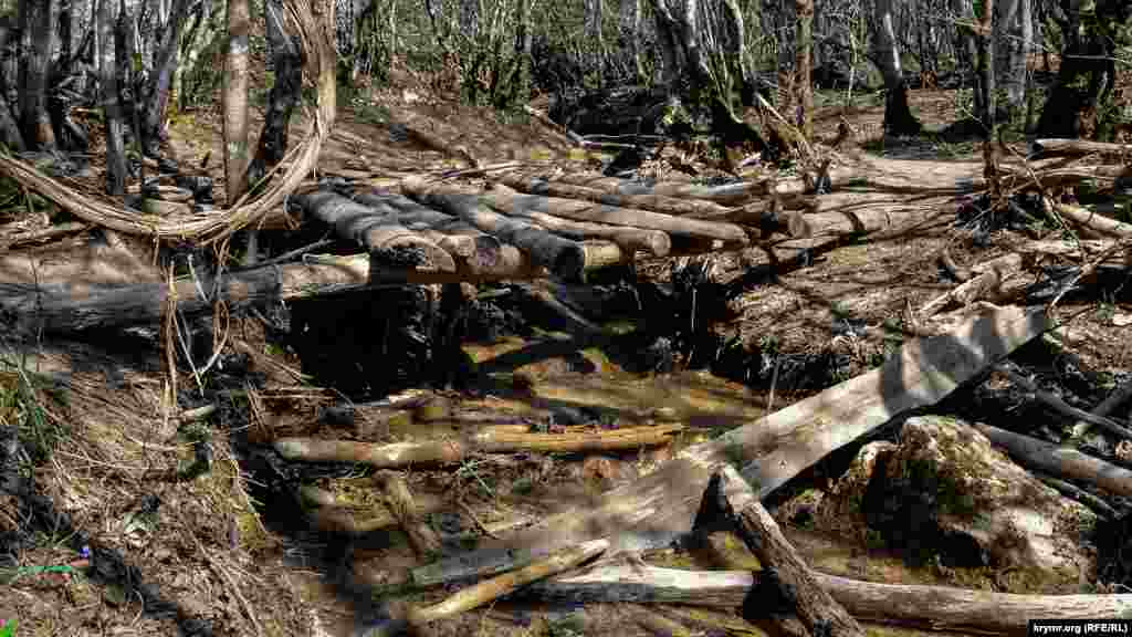 По шаткому мостику переходим через ручей