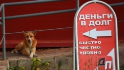 Человек имеет право. Маленький заем - большие проблемы Человек имеет право. Маленький заем - большие проблемы