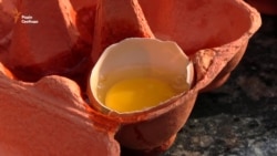 Мітингувальники на підтримку Савченко закидали яйцями посольство Росії в Києві (відео) Мітингувальники на підтримку Савченко закидали яйцями посольство Росії в Києві (відео)