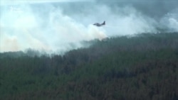 В Чернобыльськой зоне горит лес. Съемка с вертолета (видео) В Чернобыльськой зоне горит лес. Съемка с вертолета (видео)