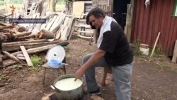 Однією лівою. Колишній полонений бойовиків «ЛНР» варить козячий сир на Житомирщині (відео) Однією лівою. Колишній полонений бойовиків «ЛНР» варить козячий сир на Житомирщині (відео)