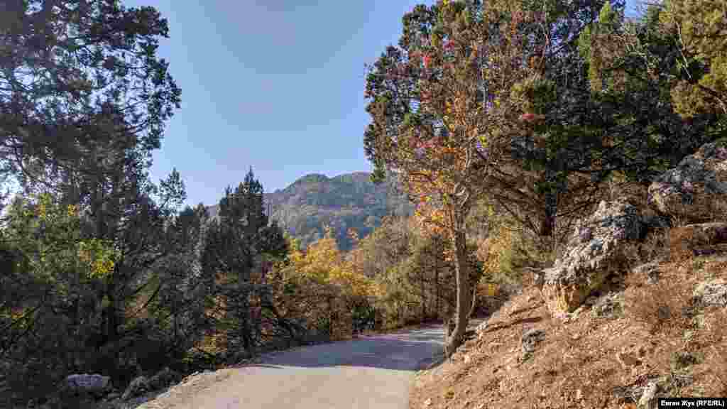 От трассы Севастополь – Ялта к морю у поселка Голубой Залив ведет узкий серпантин