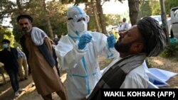 A medical official takes a swab sample for coronavirus. All aspects of Afghanistan's pandemic response have been direly affected by the Taliban takeover, with 1.8 million vaccine doses remaining unused. 