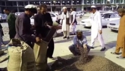 افغان سوداګر خپل زڼغوځي نړیوال مارکیټ ته رسول غواړي افغان سوداګر خپل زڼغوځي نړیوال مارکیټ ته رسول غواړي