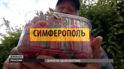 Крим, Луганськ, Краматорськ. Де найдорожча полуниця? (відео)