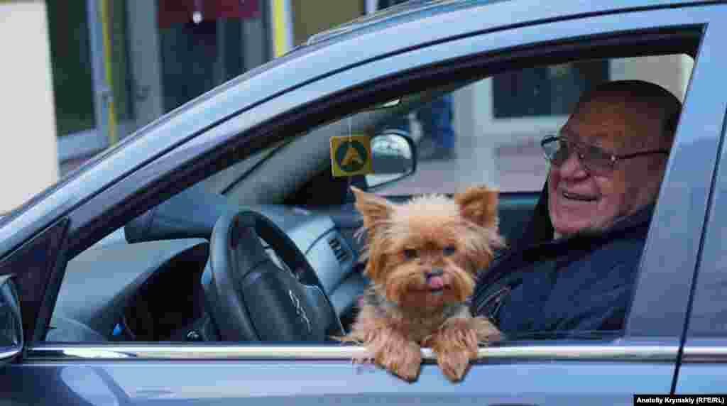 Алуштинец Александр со своим домашним символом уходящего года – Моной