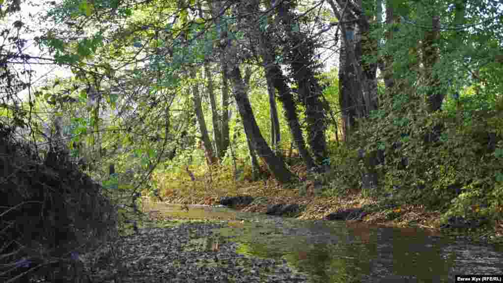 Реку Бельбек, что течет недалеко от Севастополя, сквозь ветки деревьев озаряет солнечный свет. Сейчас на этой реке идет строительство водозаборных сооружений. Об этом – фотогалерея Крым.Реалии