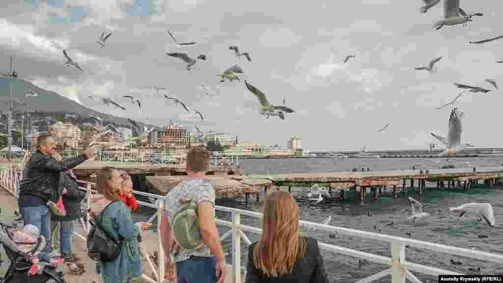 На этой неделе в Крыму наблюдалось аномальное тепло. Столбик термометра переваливал за 20 °C не только на Южном берегу, но и в центральных районах Крыма. У старого причала на набережной Ялты люди развлекались кормлением чаек на лету. Увидеть больше фото из Ялты можно в фотогалерее