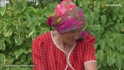 На орендованих землях Рівненщини впритул до будинків селян розпилюють хімікати? На орендованих землях Рівненщини впритул до будинків селян розпилюють хімікати?