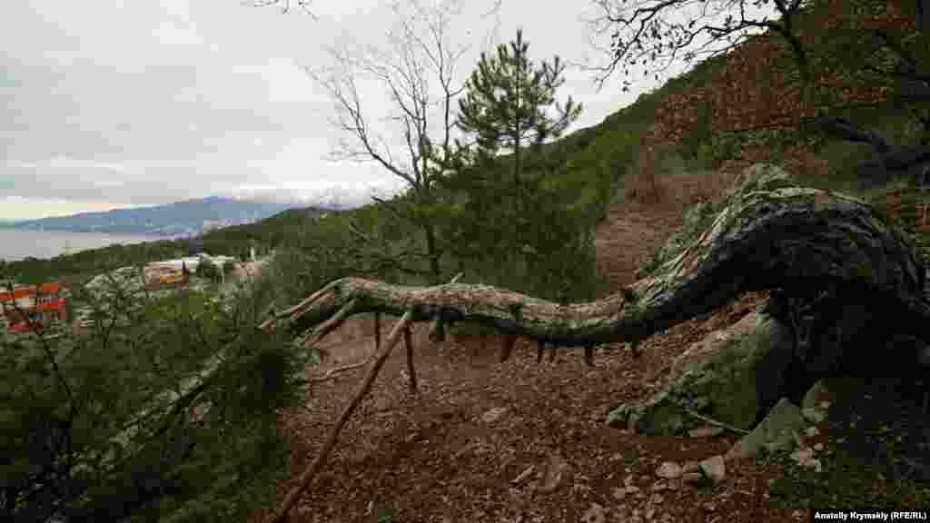 «Шлагбаум» на выходе из Никитской расселины появился недавно