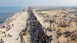 Туман войны Туман войны