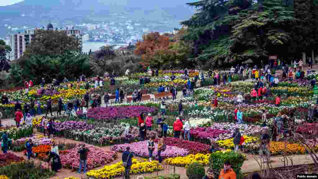  Выставка в Никитском ботаническом саду «Королева и Принцесса Бала хризантем 2016»