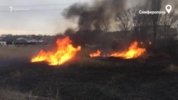 Пожар на окраине Симферополя: горят камыши (видео) Пожар на окраине Симферополя: горят камыши (видео)