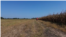A farmer from a village near Gradiska approaches a corn field that was destroyed by drought