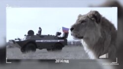 Зубков просится назад в «украинское болото» (видео) Зубков просится назад в «украинское болото» (видео)