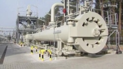 Сколько Ротенберг получает от государства? Сколько Ротенберг получает от государства?