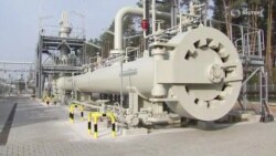 Сколько Ротенберг получает от государства? Сколько Ротенберг получает от государства?