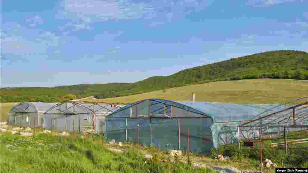 Частные теплицы на окраине села 