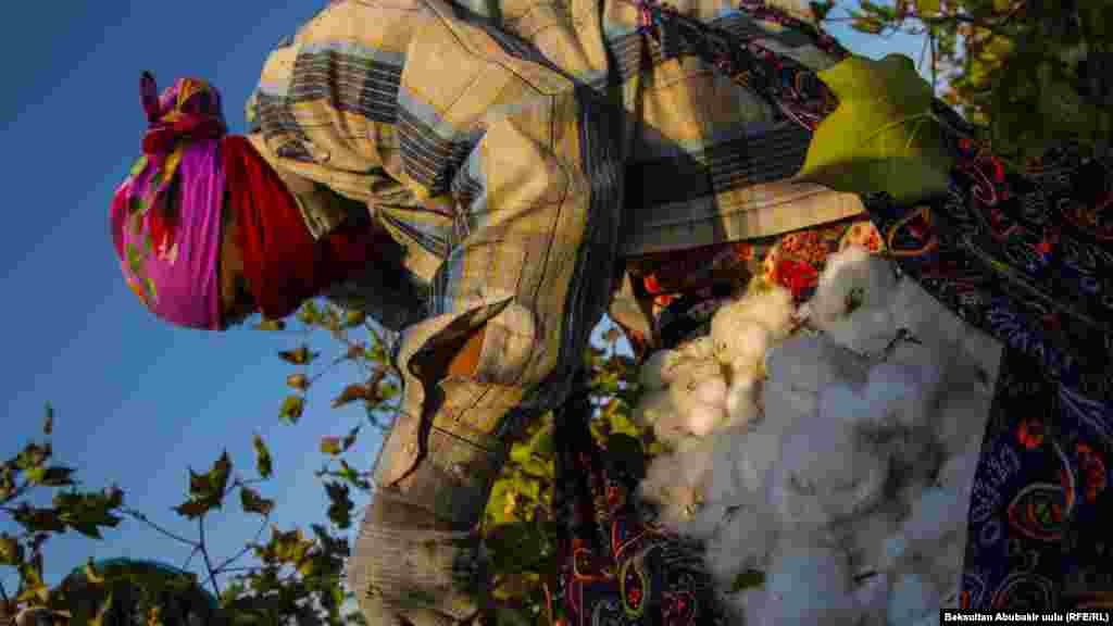 В самодельных мешках, которые носят женщины может быть до 8-10 килограммов хлопка 