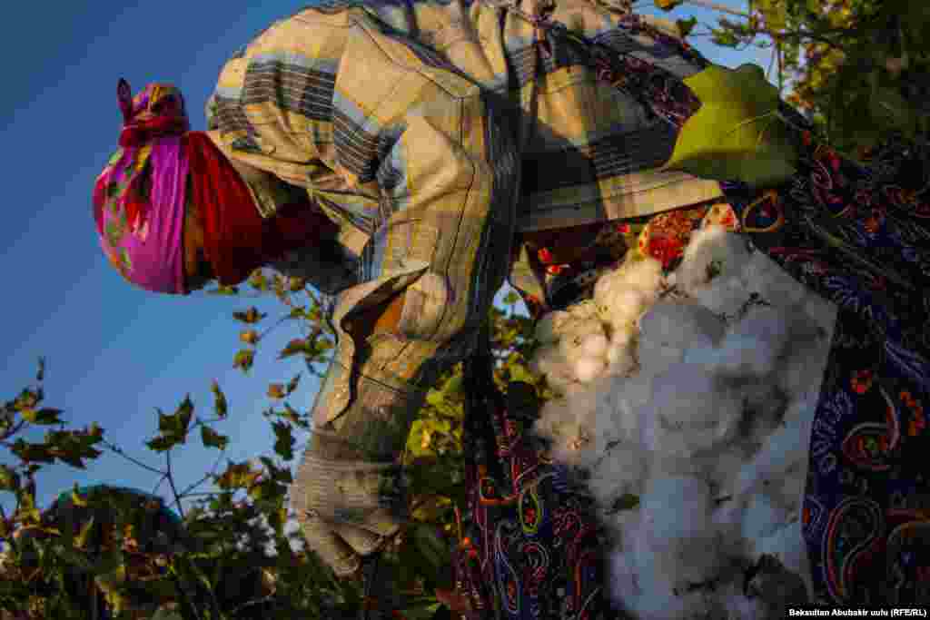 В самодельных мешках, которые носят женщины, может быть, до 8-10 килограммов хлопка 