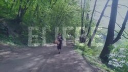 Видеоуроки «Elifbe». Пикник (видео) Видеоуроки «Elifbe». Пикник (видео)