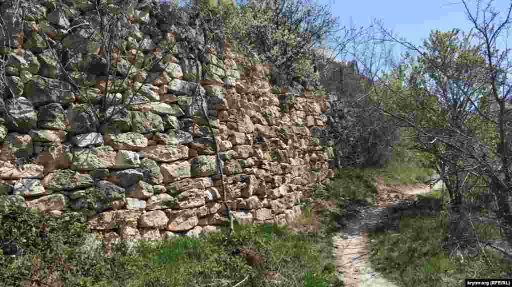 Здесь подпорная стена, выложенная из «дикого» камня всухую, заросли ежевики и других кустарников