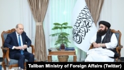 Встреча представителей России и Талибана в Кабуле, архивное фото